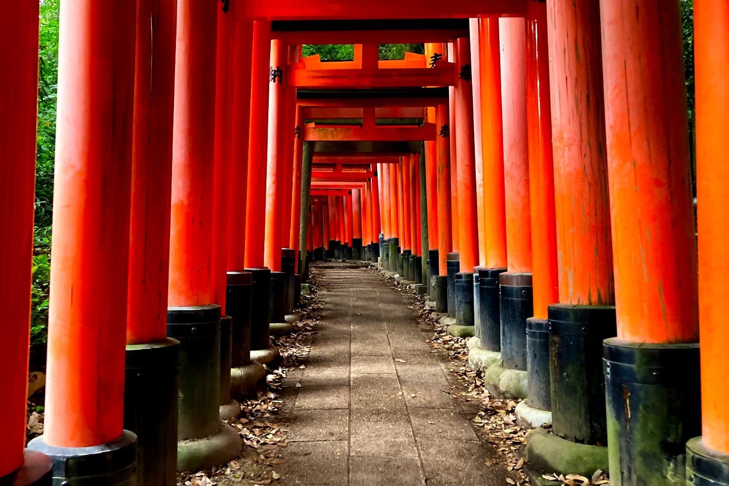 Fushimi Inari Shrine mountain trail, Japan